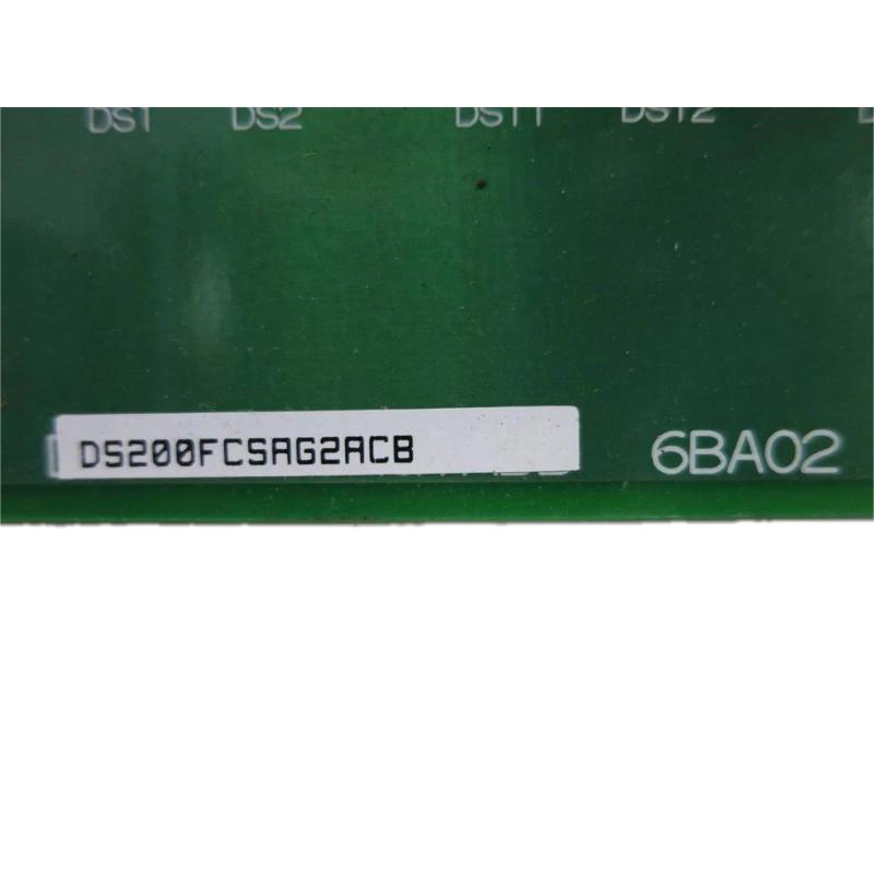 DS200FCSAG2ACB 2